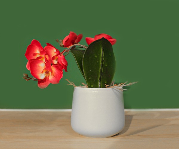 Plantas Artificiais