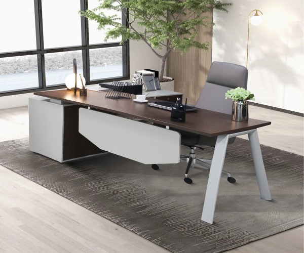 MESA EXECUTIVA